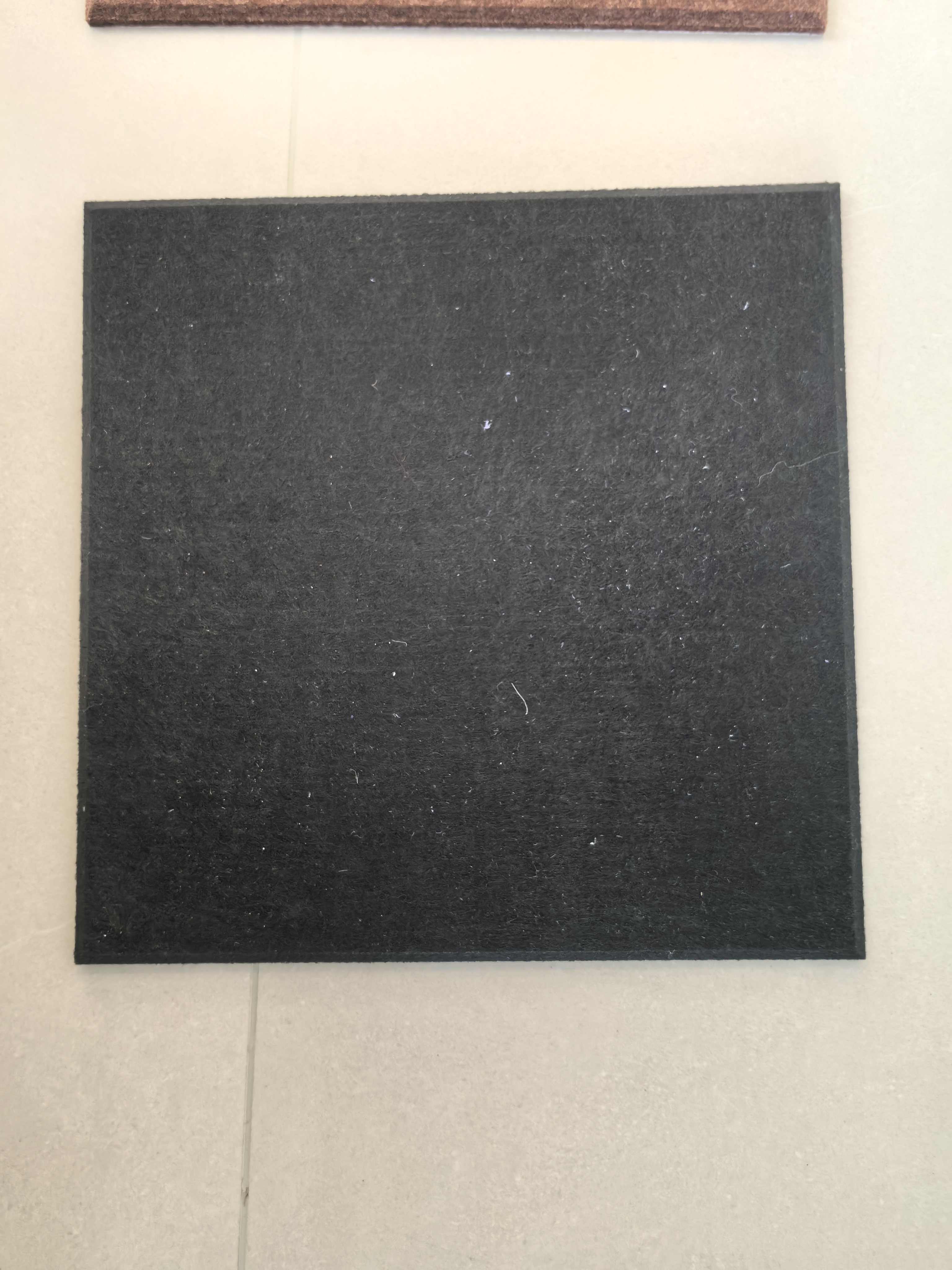 Classic Auditorium Panel - alternate view
